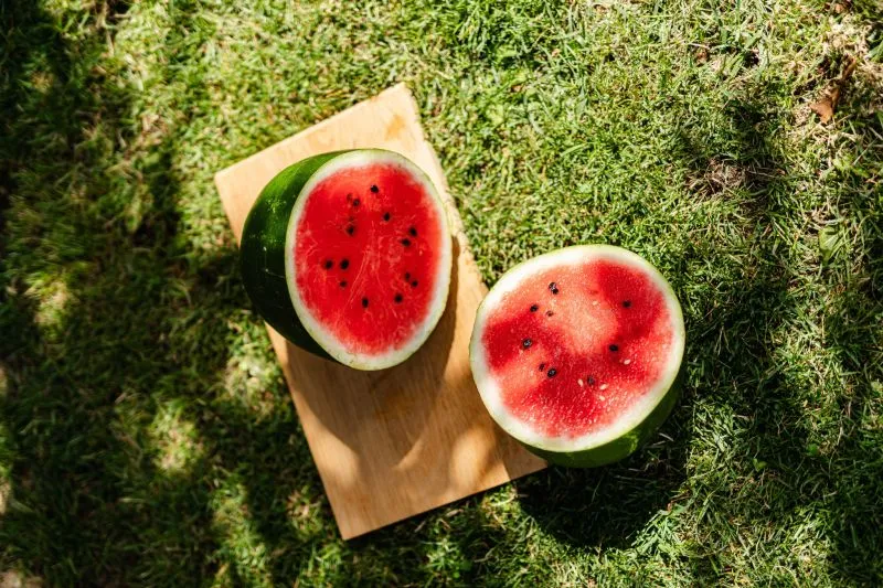 Emoji Buah Semangka dan Simbol Perjuangan Rakyat Palestina