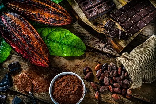 Harga Kakao di Pasar Dunia Pecahkan Rekor Tertinggi